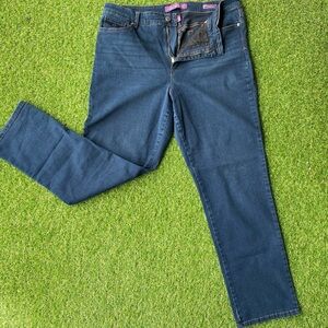 Gloria Vanderbilt Amanda 2.0 Denim